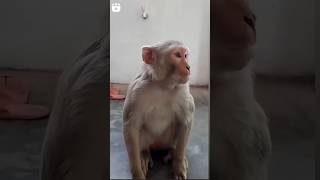 Matlade Kothi 🤣 #shorts #trending#funny#comedy #ytshorts #viral#youtubeshorts #viralvideo