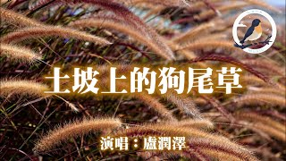 盧潤澤 - 土坡上的狗尾草『土坡上狗尾巴草搖啊 搖得人眼淚掉 你那頭月亮照不照得到』【動態歌詞MV】