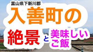 【富山県の絶景が楽しめる】にゅうぜんフラワーロード2024【富山県下新川郡入善町】