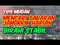 TIPS MUDAH MENCARI TAKARAN JANGKRIK HARIAN AGAR BIRAHI TETAP STABIL