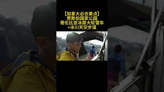 【加拿大必去景点】贾斯伯国家公园 哥伦比亚冰原大轮雪车+冰川天空步道门票提前预订 无需排队，超值优惠套餐! 点击评论区链接预订