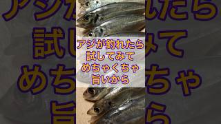 アジ釣れたら試してみて、めちゃくちゃ旨いから【刺身】