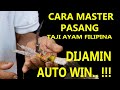 DIJAMIN AUTO WIN.. !!! KALAU TAU RAHASIA PARA MASTER PASANG TAJI AYAM FILIPINA.