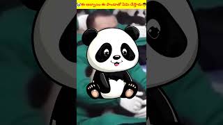 🐼ఈ అబ్బాయి ఈ పాండాతో ఏమి చేస్తాడు👦||boy with this panda ||#viralshort #shortsfeed #youtubeshorts