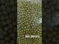 Telp/WA 0823-3069-9673, Harga Kacang Hijau Kupas Per Kg, Distributor Kacang Hijau Jogja,