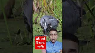 এই সেই বিখ্যাত পাখি | #shorts #youtubeshorts #trending #viral #shortvideo #duet #funny #birds