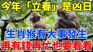 今年「立春」是凶日！百年難得一遇。生肖猴有大事發生！再有錢再忙也要看看！【禪定自在】#生肖 #運勢 #命理 #屬相 #風水