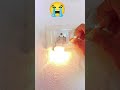 😭 220 volt ac resistance short circuit  not real video #short #experiment