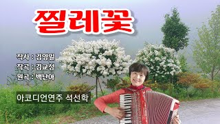 #찔레꽃(원곡:백난아)/ 이미자 #아코디언커버 석선학 #가사