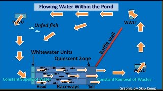 Understanding the Sustainable IPRS: In-Pond Raceway System (DIY How to Modernize Your Fish Farm)