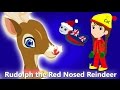 Rudolph the Red Nosed Reindeer | Christmas Songs For Children | British Kids Songs Xmas Series