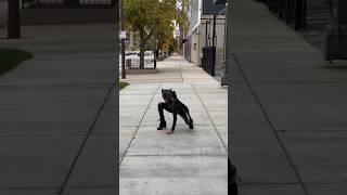 Catwoman | Acting Challenge #catwoman #cosplay #dc