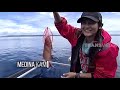 Mancing Ikan Hidup Dengan Teknik Kedo-Kedo | JEJAK PETUALANG