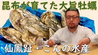 【昆布の森の牡蠣】顔より大きい！？北海道・仙鳳趾（せんぽうし）の特大絶品牡蠣を美味し～くいただきました！！【釧路グルメ】