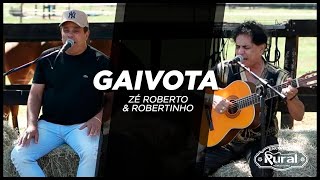 Gaivota - Zé Roberto \u0026 Robertinho