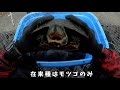 生物採集youtuber「1分24秒」でカメ６匹をほぼ素手で捕獲