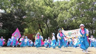 「昭和保育園「たちばな」」どまつり2019 8/24(土)【大須観音】②