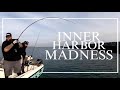 Full Speed Calico Bass Fishing | Inside the Long Beach Breakwall at Cabrillo Beach