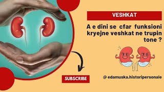 Funksioni i veshkave në trupin e njeriut. - A kemi ne mjaftushëm information?