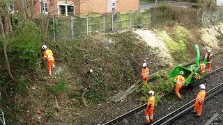 Ray Walton - NETWORK RAIL - EVICTING NATURE IN BOURNEMOUTH, DORSET