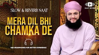 Mera Dil Bhi Chamka De - Hafiz Tahir Qadri - New Naat - Slowed + Reverb - Naat Revibe