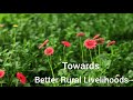 Towards Better Rural Livelihoods