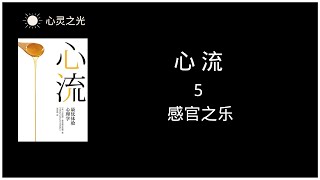 《心流》 5、 感官之乐 | 米哈里·契克森米哈赖 | 听书