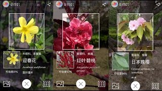 拍的花卉不认识？试试这个神器，秒变植物专家！[cool app]