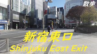 Take a walk in and around Tokyo Shinjuku East Exit　新宿東口を散歩