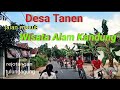 Desa Tanen,indah dengan Wisata Alam Kandung nya // Tanen Rejotangan Tulungagung