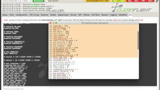 CleanFlight Firmware CLI
