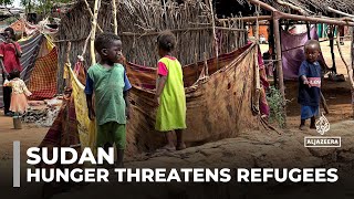 Hunger threatens refugees: Over 60% of Sudanese refugees in chad are children