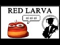 Why Is Red Larva Saying Oi Oi Oi?