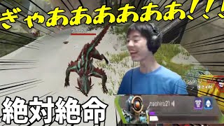 【Apex】激ローのnaohiro21の前に、プラウラーが現れ絶対絶命【456/Riddle】【なおひろ21】