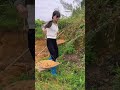 幸福乡村春耕季 记录我们的劳动样子 记录农村人的真实生活 农村生活 farming