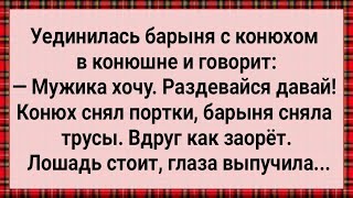 Как Барыня в Конюшне Мужика Захотела! Сборник Свежих Анекдотов! Юмор!