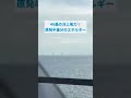 48基の洋上風力が！！！ sdgs エシカル オンライン講座 環境問題 スウェーデン 風力発電 気候変動 グリーンエネルギー