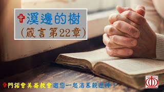 溪邊的樹～箴言第22章