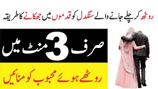 Rothe Mehboob Ko Manane ka Wazifa || صرف 3 منٹ میں روٹھے محبوب کو منائیں