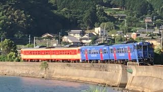 さよならキハ66・67❣️東園カーブを走行する5125D