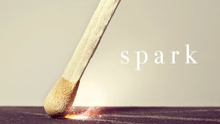 Family Service | Seek | Spark | Bo Chancey