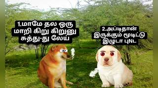 கெட்ட பய சார் இந்த பெர்ரோ 😂❤ #cheemsmemes #cheems #perro