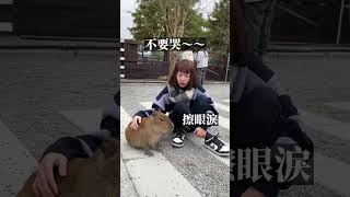 我與姐妹的談心時間👭#阿用拍廢片 #水豚