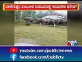 ಹಾಸನ ಭಾಗದಲ್ಲಿ ಮುಂದುವರಿದ ಕಾಡಾನೆಗಳ ಹಾವಳಿ hassan elephants public tv