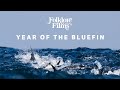 Folklore Films: Year of the Bluefin