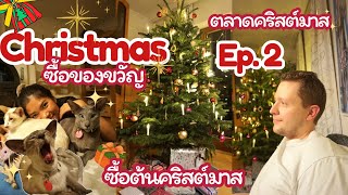 [Vlogmas ep.2] ทำอาหารวันคริสต์มาส, เดินตลาดคริสต์มาส, ซื้อต้นไม้จริงๆ,น้องเหมียวป่วนทุกงาน