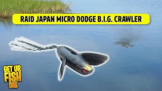 Love Topwater Bass Fishing Explosions? Raid Micro Dodge Big Crawler