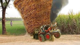 Tractor competition | sugarcane load trailer fail on ramp | Tractor Stunt | Belarus Tractor