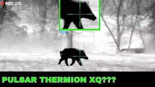 Pulsar Thermion XP50 Thermal Hunting | Thermion XQ38 and XQ50 News