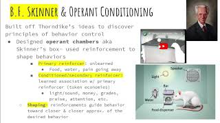 5.2 - Operant Conditioning, Reinforcement and Punishment - AP Psychology